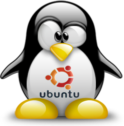 penguin pingouin pinguino 939